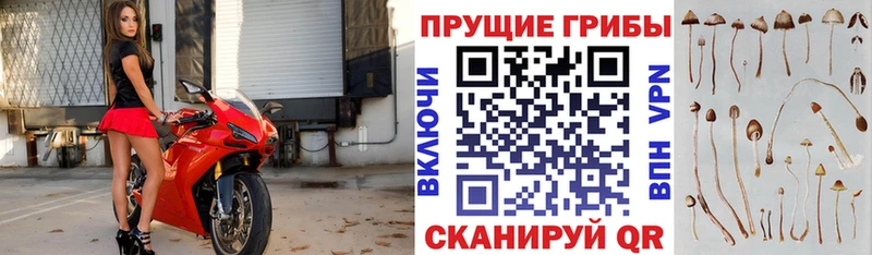 Галлюциногенные грибы Magic Shrooms маркетплейс какой сайт Новый Уренгой